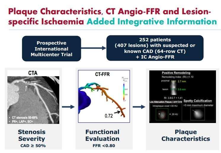 FFR Measured Noninvasively From Coronary CTA