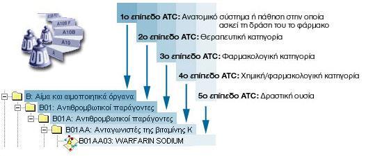 Ανατομικό, Θεραπευτικό, και
