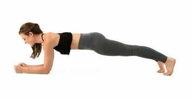 Plank Pose