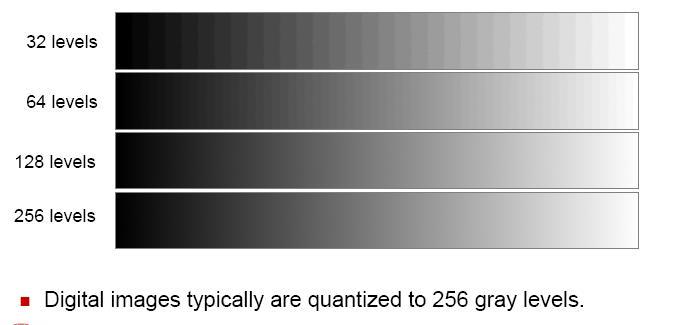 How many gray