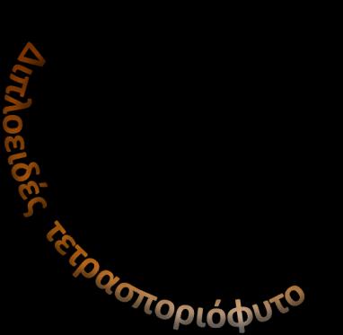 Αναπαραγωγή των φυκών Απλο-διπλοβιοτικός κύκλος ζωής-ροδόφυτα Τρεις φάσεις του κύκλου ζωής δύο διπλοειδείς και μία απλοειδής (Ν), δηλαδή: 1. Καρποσποριοφυτική 2. Γαμετοφυτική (Ν) 3.