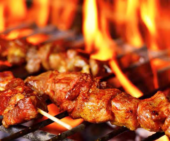 BBQ1010 015420 Ψησταριά κάρβουνου