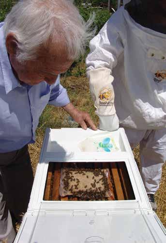 ΥΓΡΕΣ ΣΥΜΠΥΚΝΩΜΕΝΕΣ ΠΟΛΥΒΙΤΑΜΙΝΕΣ «Extra Ultra Vita-Bee» Η «Extra Ultra Vita-Bee» (κωδ. 11017 / 11117 περιέχει ότι και η «Ultra Vita-Bee» σε διαφορετικές αναλογίες.