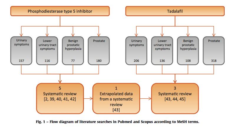 Tadalafil 5mg: το τέλος των αμφισβητήσεων (1) improvement of LUT oxygenation, (2) smooth muscle relaxation, (3) negative regulation of proliferation and transdifferentiation of LUT stroma, (4)