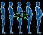 Effect of phosphodiesterase inhibition on