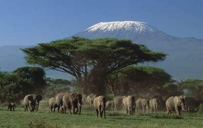 Αμποσέλι (Amboseli).