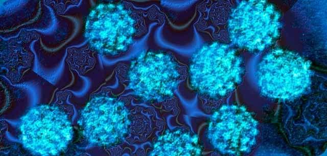 HPV ινίκωμε ζηελ θύεζε: Τπάξρεη άκεζνο ή απώηεξνο θίλδπλνο γηα ην