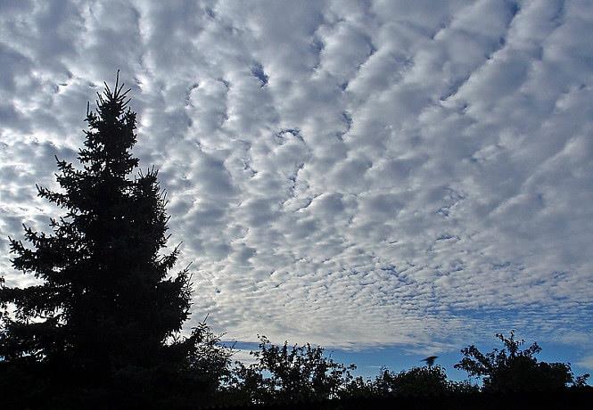 Τα Υψιστρώματα (Αltostratus, As) είναι νέφη που παρουσιάζονται σαν πυκνά πέπλα με χρώμα ανοικτό γκρίζο προς το γαλάζιο, ομοιόμορφα και