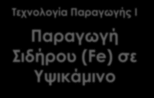 Παραγωγή