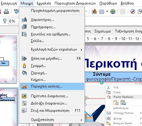 -Crop Αναλυτικά Επιλογή