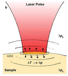 Ανιχνευτής Υπερήχων OR PAM Πλάτος Optical Resolution Χρόνος 3D Εικόνα Σάρωση Φακός Δείγμα Κάρτα καταγραφής Πλευρική ανάλυση Χρονική ανάλυση Καθορίζεται από την εστία του φωτός (~1-2 μm) Επιδόσεις