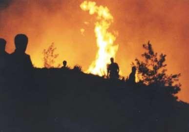 χ Ζώνη μαύρης πεύκης ΜΕΤΡΑ Εφαρμογή της Δασικής Νομοθεσίας. Ενημέρωση και ευαισθητοποίηση του κοινού. Μείωση και διάσπαση καύσιμης ύλης.