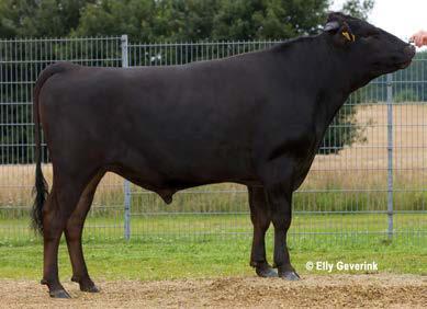 βάρους: 1475 g 5,50 YURO 204358 DE 1303829127 Yasufuku x Michifuku