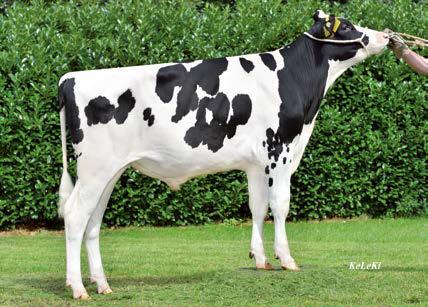 72 435 Ida 6 VG 88 ( Shottle) πλάτος λεκάνης 681573 DEU