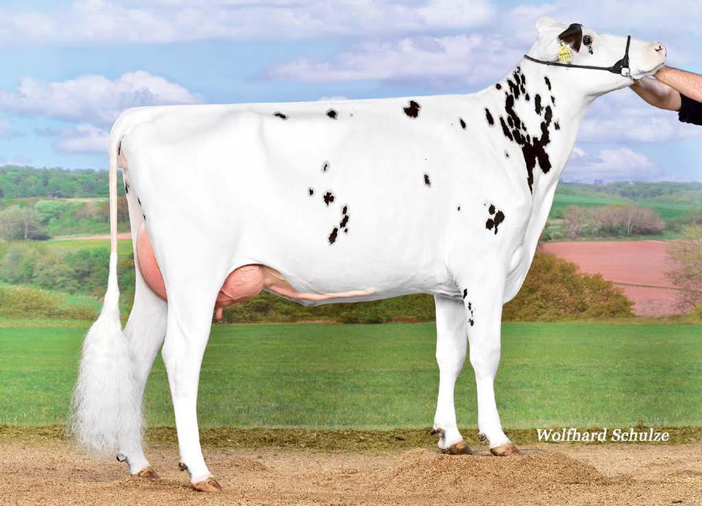 90 137 15,00 15/ 14 +1270 kg -0.06 % 44 kg +0.