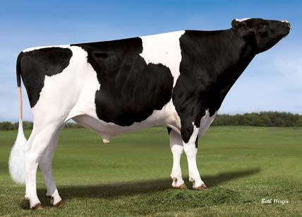 27 464 Planet4521 VG 87 ( Planet)