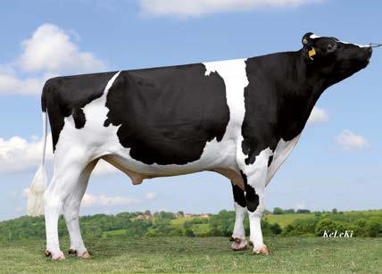 Bookem ( Planet) Juleika VG 86 ( Man-O-Man) HL 1 13883 3.34 464 3.28 455 CAS Jameika VG 86 ( Goldwin) HL 2 12533 4.11 515 3.