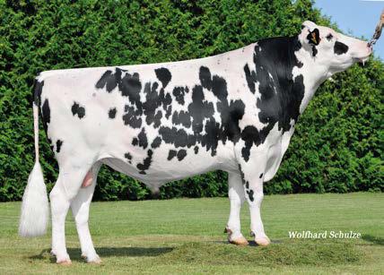 13 541 Gisala VG 89 ( Roumare) Gisa VG 88 ( O-Man) πλάτος λεκάνης 619043 DEU 000666050471 98 82 114 125 95 92 95 115 114 619043-811477 DNK 000000256013