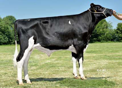 Balisto ( Bookem) HFP Lucy Lu VG 89 ( Epic) HL 3 13952 3.81 531 3.63 507 Own Gold Lucille VG 89 ( Goldwin) HL 2 13532 4.74 642 3.