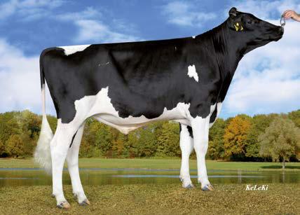 Finder ( Balisto) Kati ( Commander) 823208 DEU 000359843931 Wilder Karat VG 88 ( Numero Uno) HL 2 62