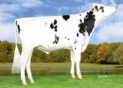 18 % 55 kg αξιοπιστία: 71 % 20,00 157 rzrobot 132 423156 Missouri ( Day) Gospel VG 87 ( Balisto) HL
