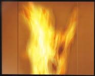 TERMOCAMINI A PELLET TERMOCHIMENEA DE PELLET RECUPERADORES PARA