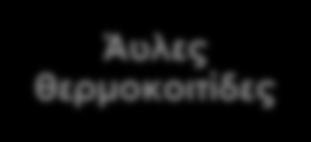 Περιφερειακές επιχειρησιακές θερμοκοιτίδες Άυλες θερμοκοιτίδες Τα