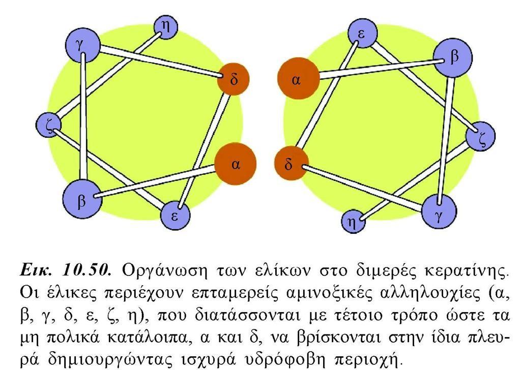 Δομή