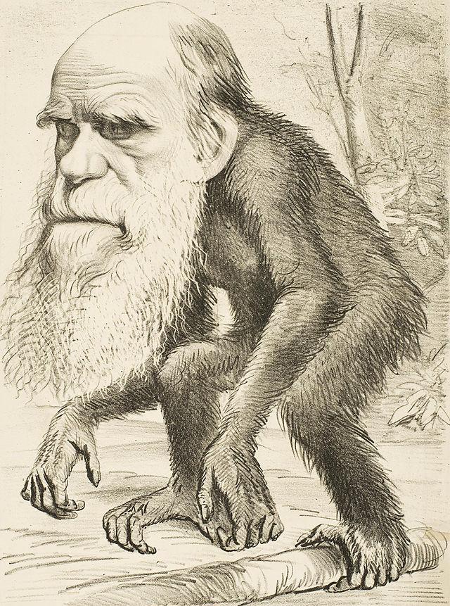 Venerable Orang-outang,