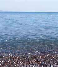 uertdeba. romeli adgilia am suratze horizontis xazi? 1.