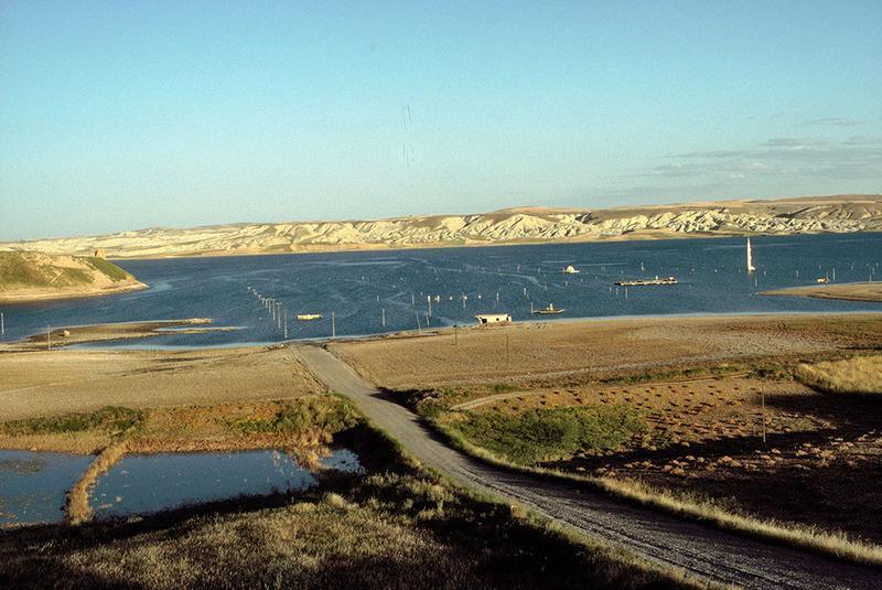 Mellink, Machteld J.