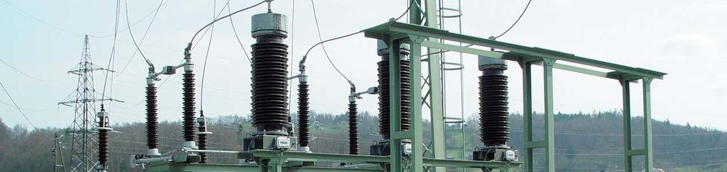 RTP s prikljuënimi vodi imajo v elektroenergetskem sistemu vsakega podroëja svojo specifi- Ëno vlogo v razvoju narodnega gospodarstva.