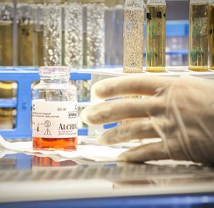 SOLUTII COMPLETE PENTRU BANCILE DE CORNEE Alchimia srl, Italia, a fost înființată în 1993 de către o echipă de oameni de știință, specialiști în chimie, microbiologie și farmacologie.