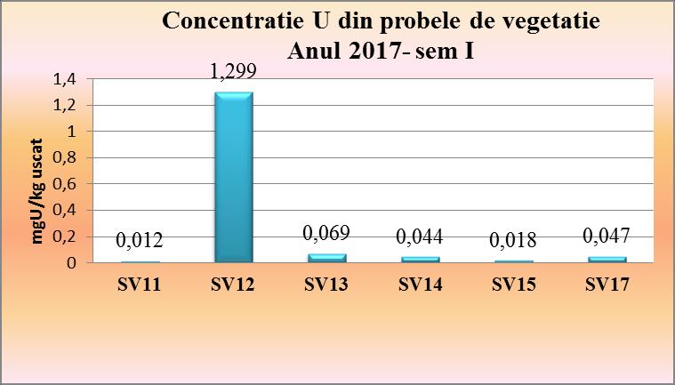 Tabelul 3-4 Rezultate concentratie de uraniu in probele de vegetatie semestrul I 2017 Incercare Locatie Rezultate (mgu/kg uscat) Sem I 2017* Metoda de incercare utilizata Determinarea concentratiei