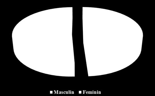 In diagrama de mai jos se poate observa distributia relativ echilibrata a populatiei pe cele doua sexe, mai putin in cazul categoriilor de varsta 45-49 de ani, cand populatia feminina