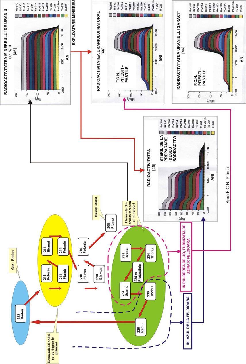 Figura 4-2 Schema de dezintegrare a uraniului și activitatea materiilor prime nucleare în ciclurile combustibilului nuclear
