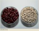 Lektinski proteini Lektinski proteini fitohemaglutinini su glikoproteinske substance, najčešće biljnog porekla, mada mogu biti