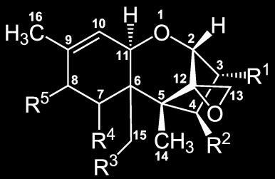 Glavni producenti ohratoksina A su: Aspergillus ochraceus i Penicillium verrucosum koji često
