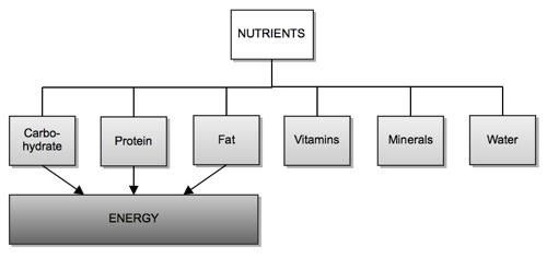 Nutrijenti (nutritivne materije), hranljivi sastojci u hrani Proteini, aminokiseline Lipidi Ugljeni hidrati Vitamini Mineralne materije Voda i kiseonik *(nekad se ovde svrstavaju i dijetetska vlakna,