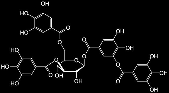 Prirodne antinutritivne materije u biljnoj hrani (Supstance koje umanjuju nutritivnu vrednost hrane, a mogu biti i toksične) - Tripsin inhibitor (proteini koji inhbiraju proteolitički enzim tripsin i