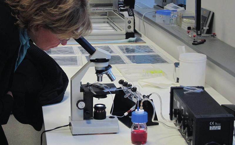 Infrastruktura za bio-analitiko Združuje analizno kemijo z molekularnimi metodami, kar nam omogoča inter-disciplinarnost pri proučevanju osnovnih metabolnih procesov kovin in polkovin ter okoljskih