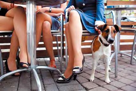 Restoranų verslo tendencijos 2013-2014 Draugiški restoranai Visus (su labai nesėkmingomis ir retomis išimtimis) restoranus ar kavines galima būtų vadinti draugiškais.