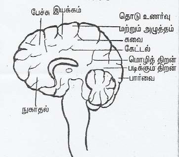 cb,violm<mi-l{<jmobim<ce<gqp<hgkqdjx 3/ nvg<eib<mdjx-fmdjx 4/ jhbi Olm<mI. &jtbl<?