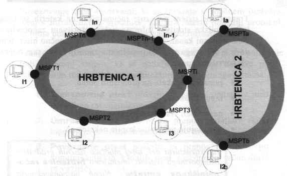 Opomba: V nadaljevanju snov iz 4. letnika TOPOLOGIJA IKS a Slika prikazuje izhodiščno topološko strukturo IKS a: dve hrbtenici povezujeta sedem informacijskih infrastrukturnih okolij.