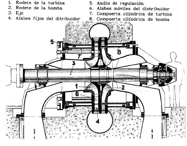 Irudia 2-38. Dèriaz turbina. Kaplan turbinaren oso antzekoa bada ere, honekin duen alde nagusia alabeen posizioa da.