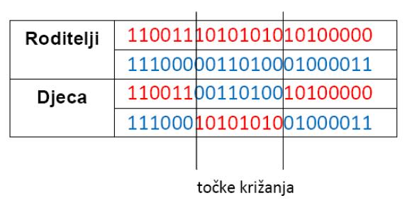 Genetski operatori 2. Križanje u dvije točke (two point crossover).