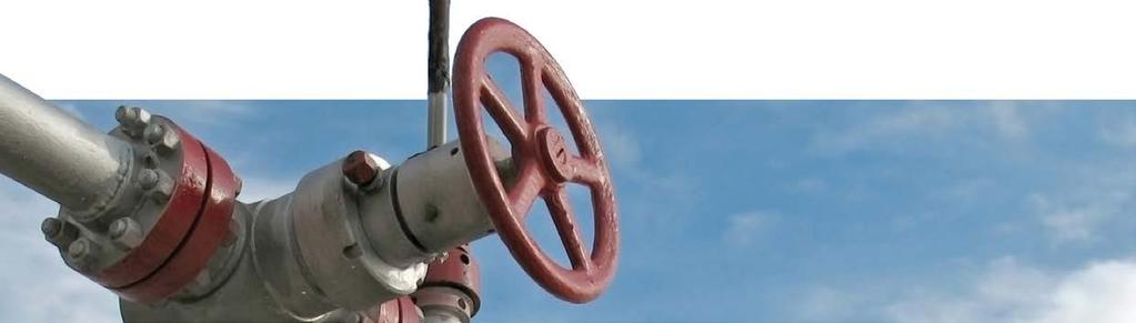 Planificarea pentru situațiile de urgenţă în cazul pericolelor de accidente chimice Biroul privind pericolele de accidente majore Unitatea pentru evaluarea tehnologiei de securitate BPAM SERII DE