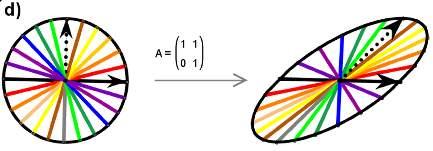 Slika 2.5: Elipse operatora a) rotacije, b) refleksije, c) skaliranja i d) smicanja. 2.1.