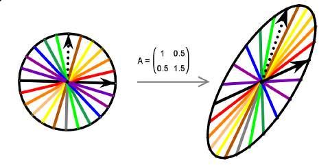pravcu, tj. v i v prikazani istom bojom. Da bi neki vektor bio svojstveni za A, potrebno je da mu se ne promeni pravac prilikom delovanja operatora, tj.