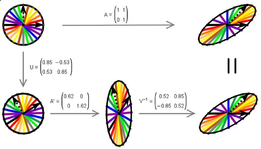 Slika 2.12: Dekompozicija na singularne vrednosti operatora smicanja. svojstveni vektor u euklidskom prostoru.